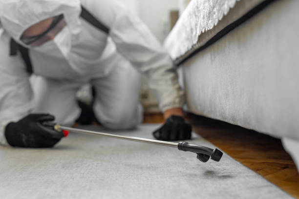 Professional Bed Bug Control technician working in Rensselaer County County, NY